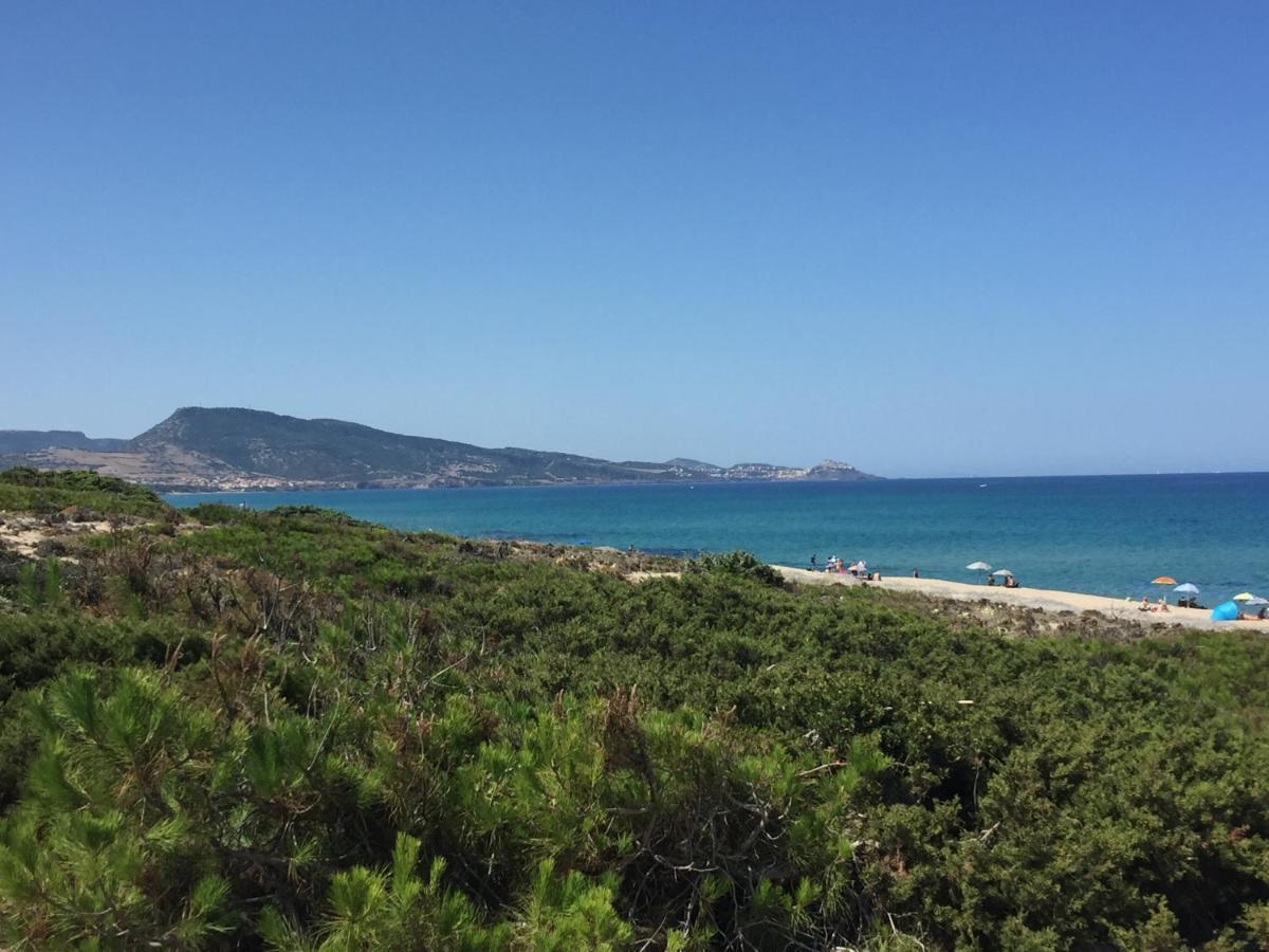 Carrabean Sea In The North Of Sardegna, With Swimming Pool Villa Viddalba Kültér fotó