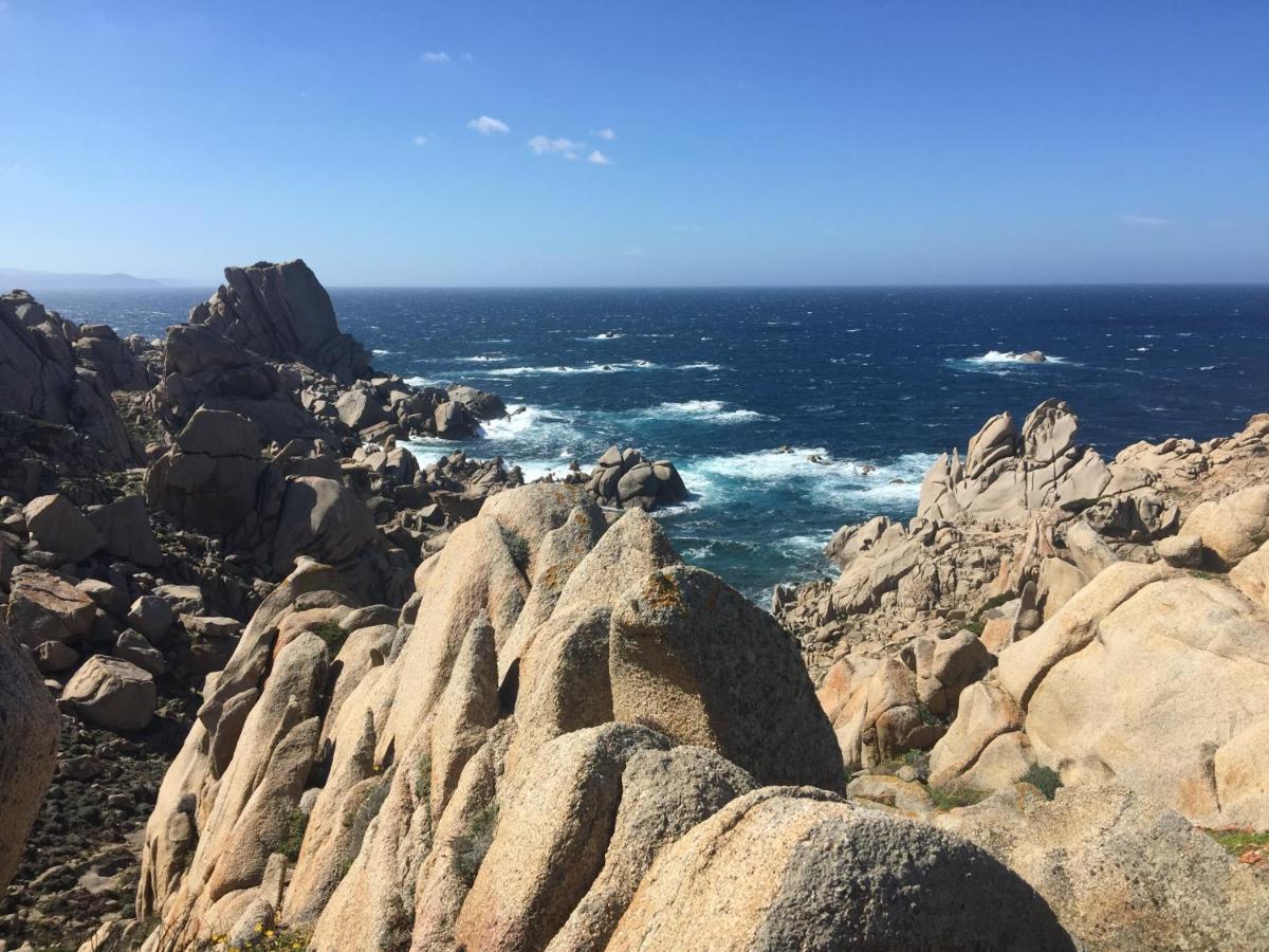 Carrabean Sea In The North Of Sardegna, With Swimming Pool Villa Viddalba Kültér fotó