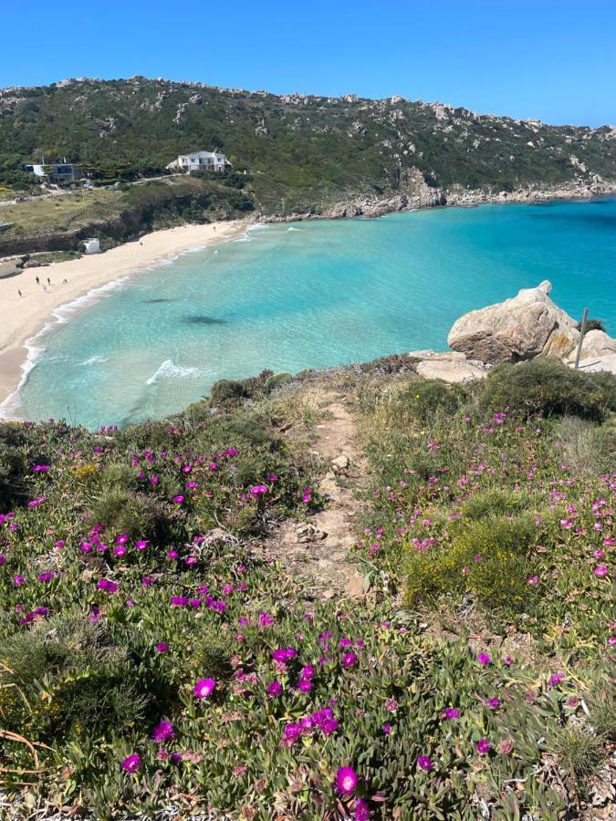 Carrabean Sea In The North Of Sardegna, With Swimming Pool Villa Viddalba Kültér fotó